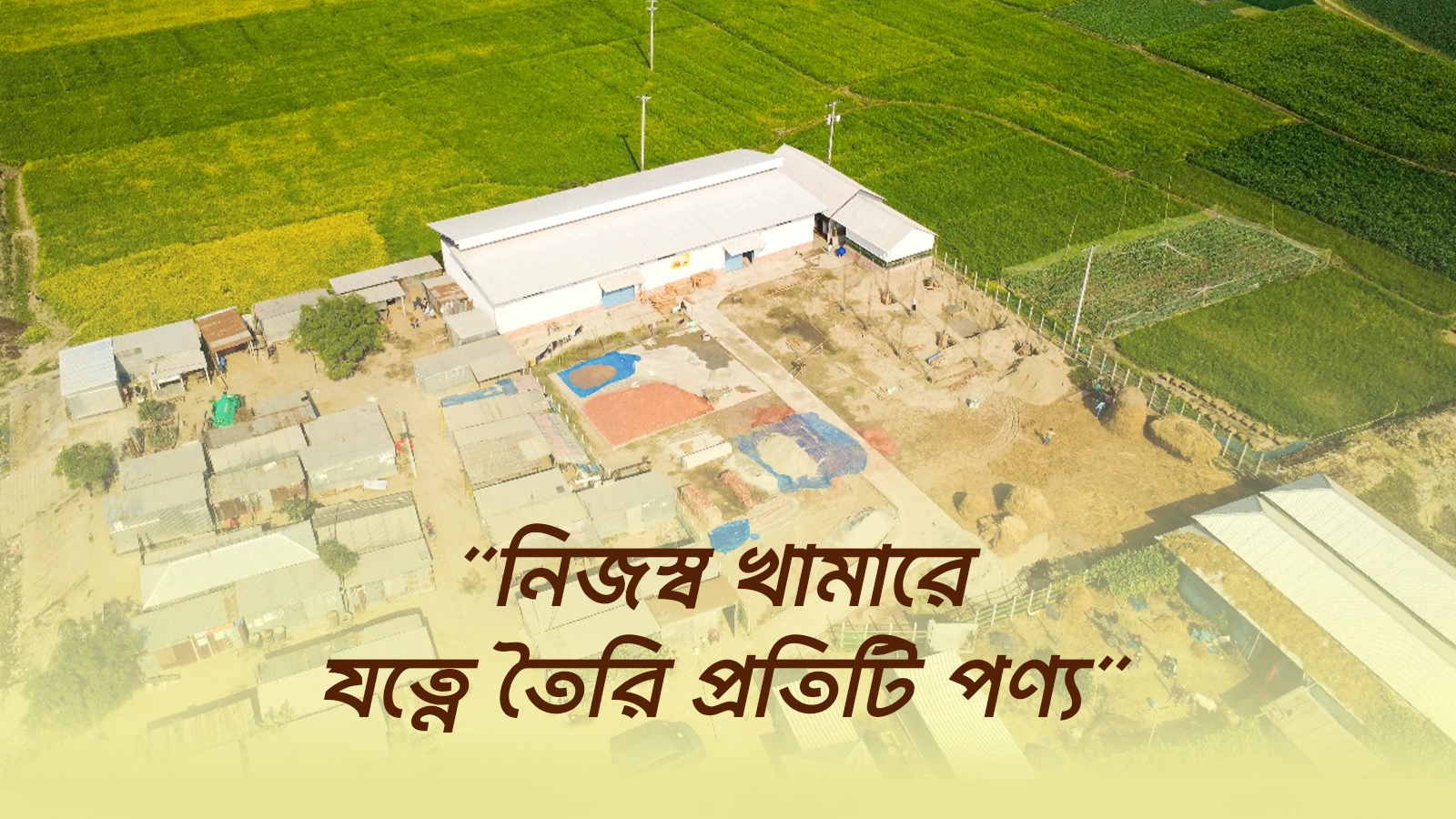Promotional Ad