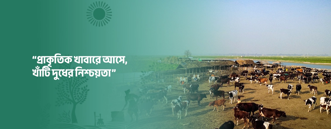 Promotional ad